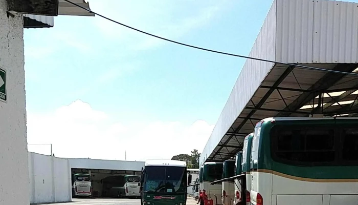 Autotransportes Flecha Roja -  Promocion - Toluca de Lerdo