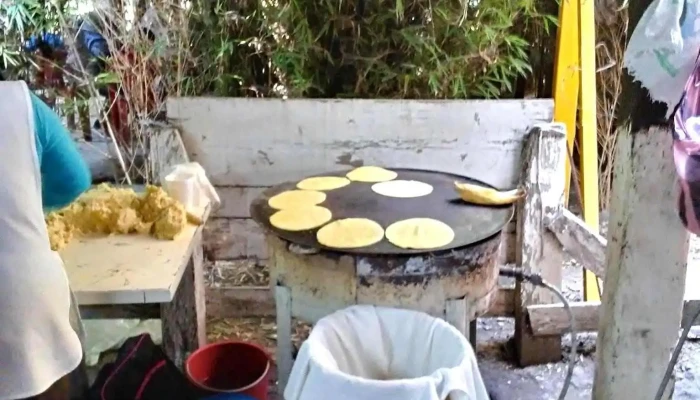 Barbacoa La Purificacion Texcoco Ambiente - La Purificación Tepetitla