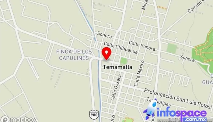 mapa de Base Temamatla Bus stop en Temamatla