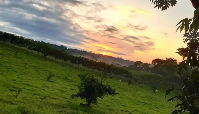 Bethania Tuxtepec Oaxaca -  Comentarios - Oaxaca