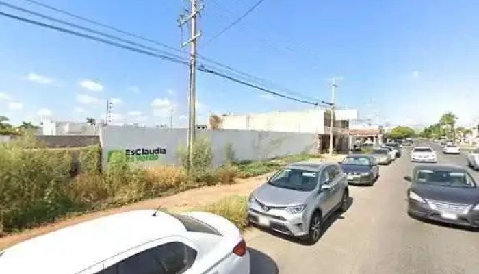 Bimo -  Comentarios - Los Mochis