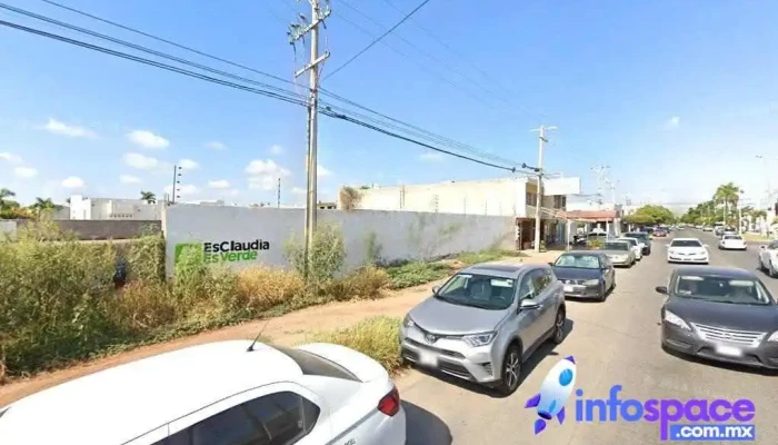 Bimo - Los Mochis