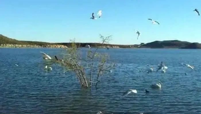 Boquilla De Babisas -  Playa - Boquilla de Babisas