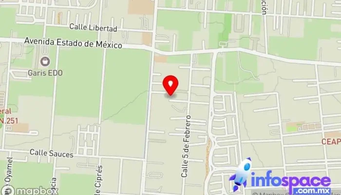 Business Consultants - Metepec