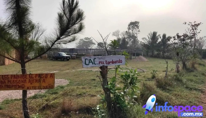 Cac Maria Lombardo De Los Visitantes - María Lombardo de Caso