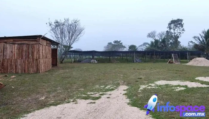 Cac Maria Lombardo Exterior - María Lombardo de Caso
