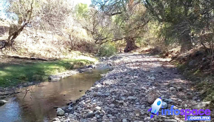 Calihuala Videos - Calihualá