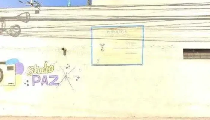 Calle Emiliano Zapata -  Telefono - Las Pintas