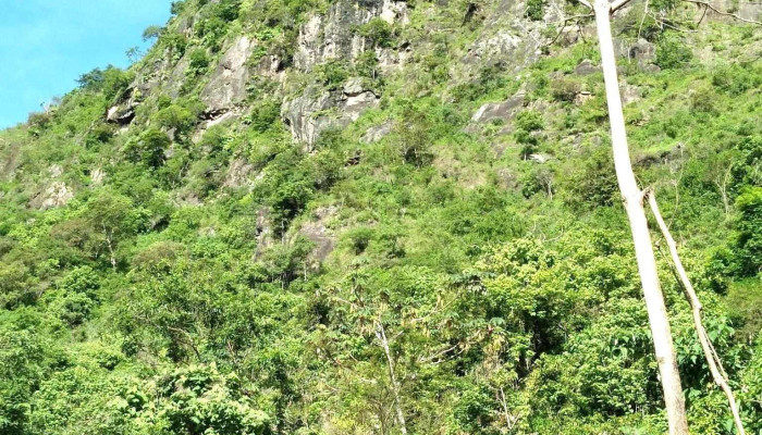 Canada De Guadalupe Montana - Santa María Temaxcaltepec