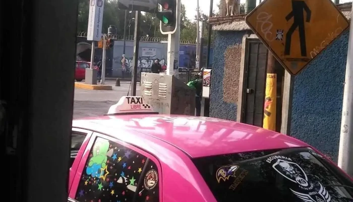 Canal De San Juan -  Cerca De Mi - Ciudad de México