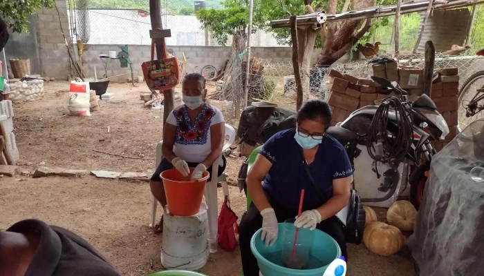 Capacitacion Y Asesoria Tecnica Profesional Del Campo Del Propietario - Juchitán de Zaragoza