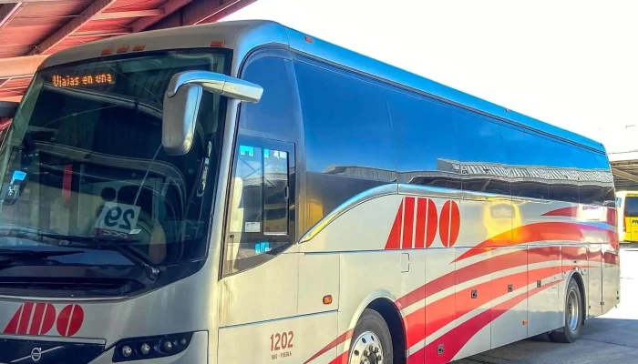 Capu -    Central De Autobuses De Puebla Promocion - Heroica Puebla de Zaragoza
