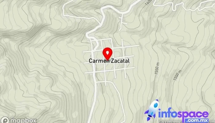 Carmen Zacatal - Carmen Zacatal