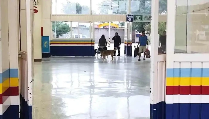 Central Camionera -  Videos - Oaxaca de Juárez