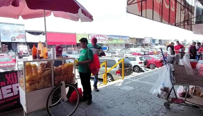 Central De Abasto Toluca -  Videos - San Nicolás Tolentino