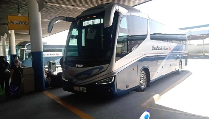 Central De Autobuses Ciudad Juarez -  Autobus - Juárez