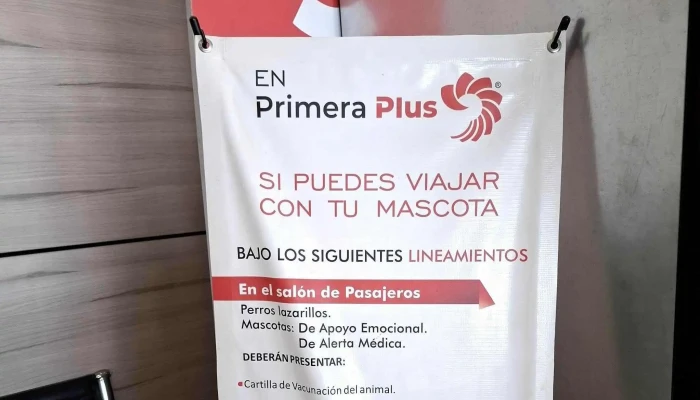 Central De Autobuses Queretaro -  Precios - Santiago de Querétaro
