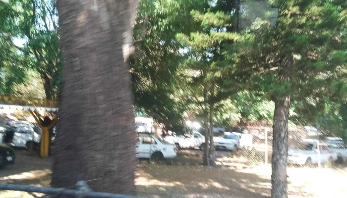 Central De Autobuses Uruapan -  Videos - Uruapan