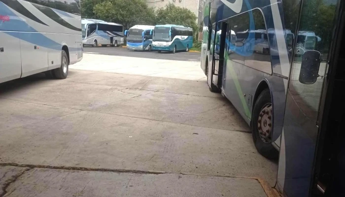Central De Autobuses Zitacuaro Sitio Web - Zitácuaro