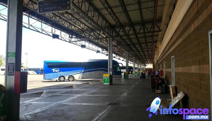 Central Internacional De Autobuses Sitio Web - Culiacán Rosales