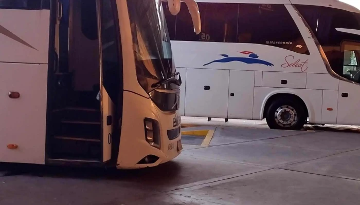 Central International De Autobuses -  Donde - Culiacán Rosales