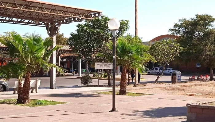 Central Milenium -  Descuentos - Culiacán Rosales