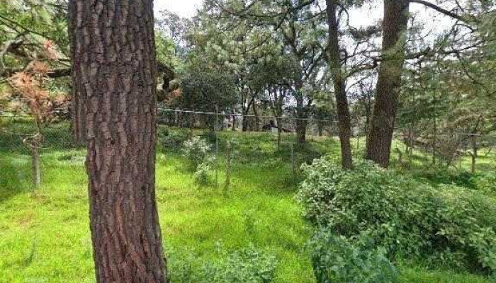 Centro De Conservacion De Especies Mexicanas El Ocotal Descuentosdeg - Timilpan