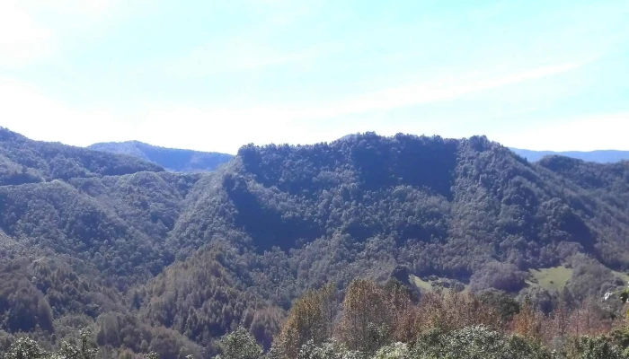 Centro San Lorenzo Cuaunecuiltitla Teotitlan Oaxaca Opiniones - Teotitlán del Valle