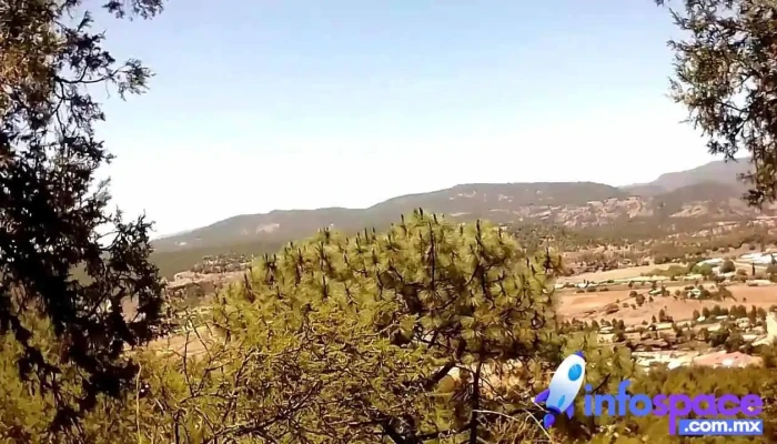 Cerocahui -  Videos - Cerocahui