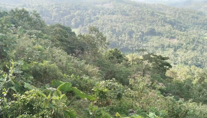 Cerro Armadillo Grande Las Letras Horario - San Juan Bautista Valle Nacional