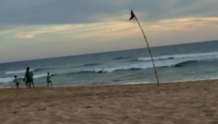 Cerveceria Tres Islas Videos - Mazatlán