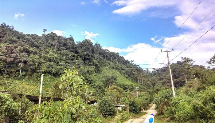 Chanal -  Montana - Chiapas