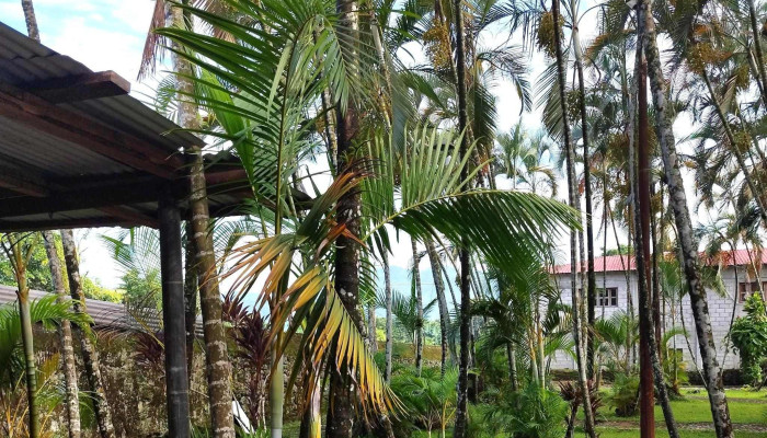 Chapultenango Chiapas Precios - Chapultenango