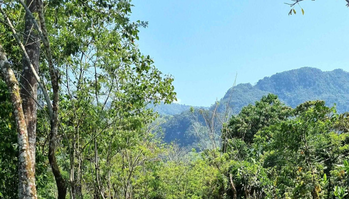 Chapultenango Chiapas Puntaje - Chapultenango