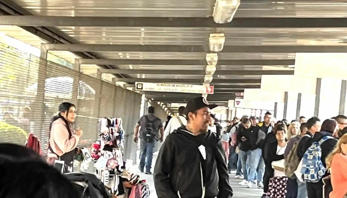 Chapultepec -  Abierto Ahora - Ciudad de México
