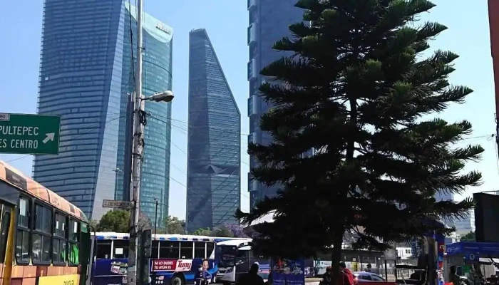 Chapultepec -  Autobus - Ciudad de México