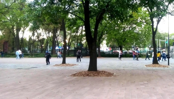 Chapultepec -  Catalogo - Cuauhtémoc, Ciudad de México