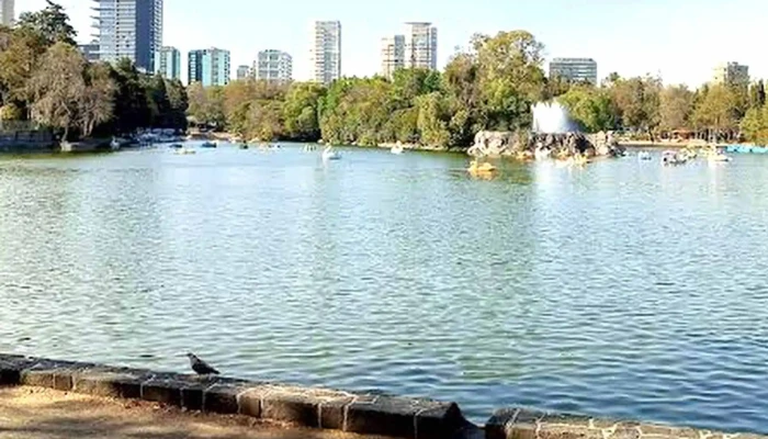 Chapultepec - Cuauhtémoc, Ciudad De México