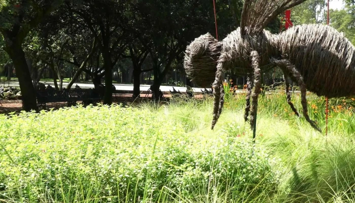 Chapultepec -  Ubicacion - Ciudad de México