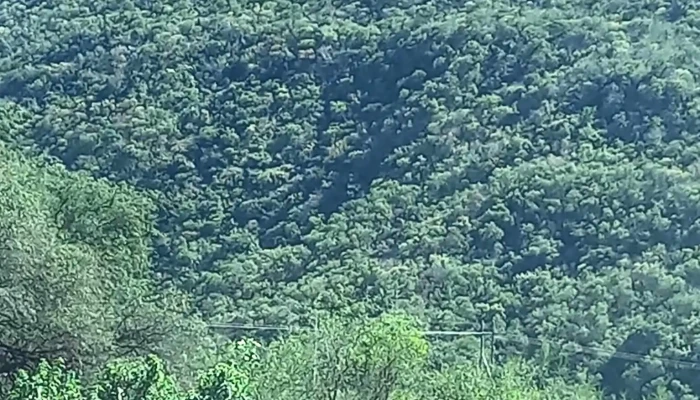 Chinipas De Almada Montana - Chínipas de Almada