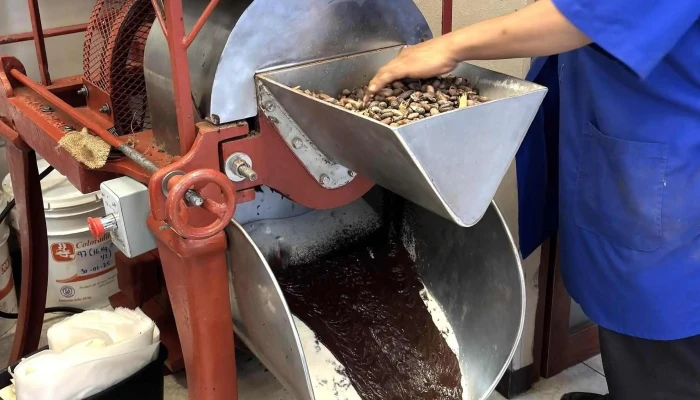 Chocolate Mayordomo Suc Miguel Cabrera -  Videos - Centro