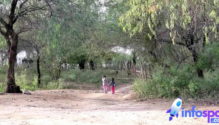 Choix -  Videos - Sinaloa