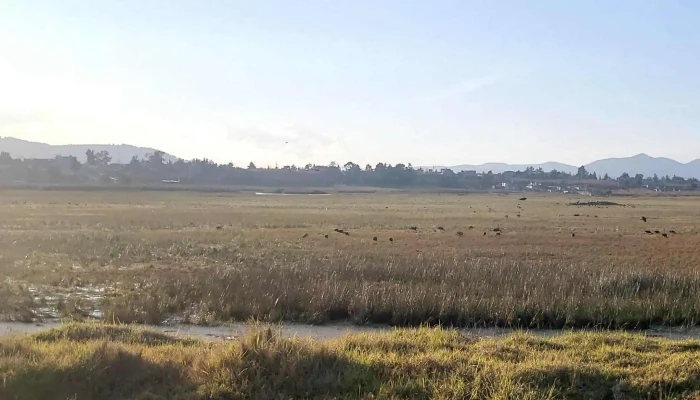 Concepcion De Los Banos Videos - La Concepción de los Baños
