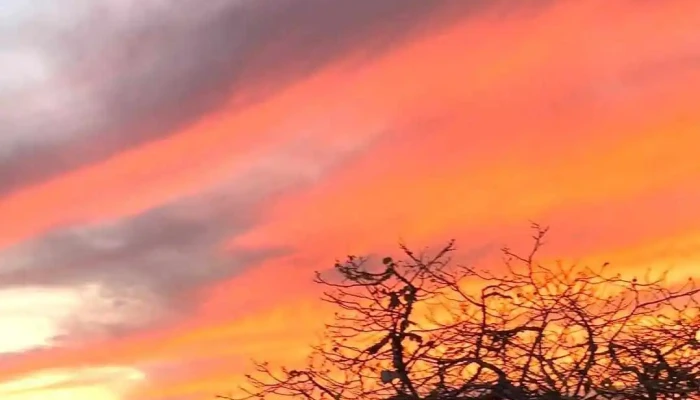 Concepcion Papalo Videos - Concepción Pápalo