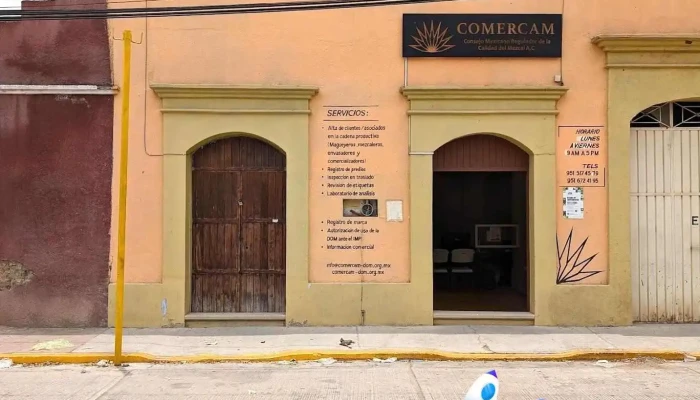 Consejo regulador del mezcal - Santiago Matatlán