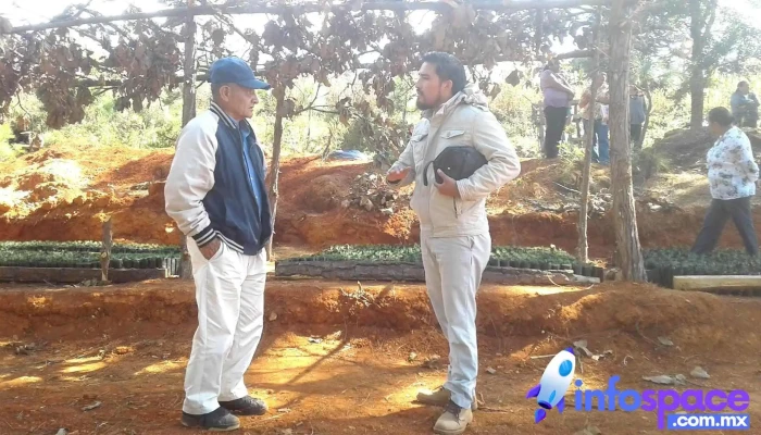 Consultoria Ambiental Oaxaca Del Propietario - San Lorenzo Cacaotepec