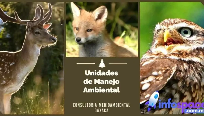 Consultoría Ambiental Oaxaca - San Lorenzo Cacaotepec