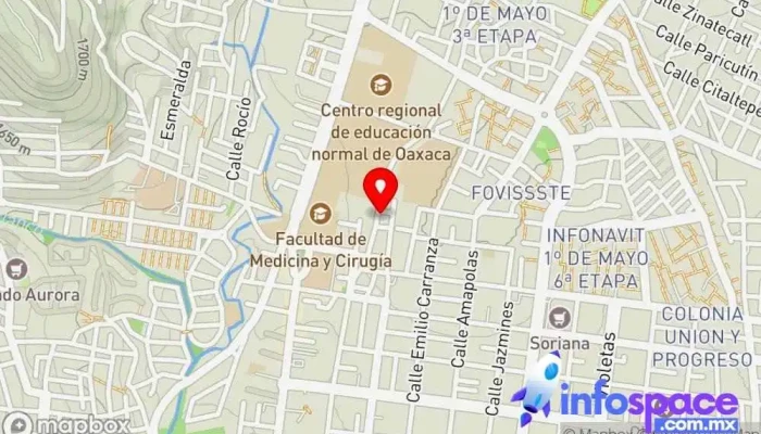 Consultoría de Marketing digital (Daangú) - Oaxaca De Juárez