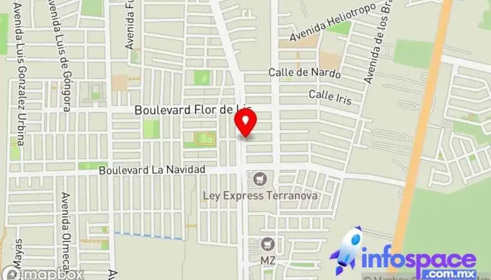 mapa de Consultoría industrial Seprotec Asesor en Culiacán Rosales