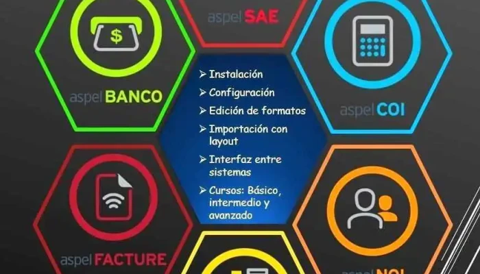 Consultoria Integral De Software Contable Del Propietario - Valle de Chalco Solidaridad